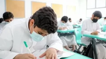 تغيير جذري.. التقييمات الجديدة في المرحلة الابتدائية تركز على مهارات الفهم والتطبيق بدلاً من الحفظ